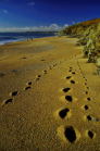 fish_cove_2